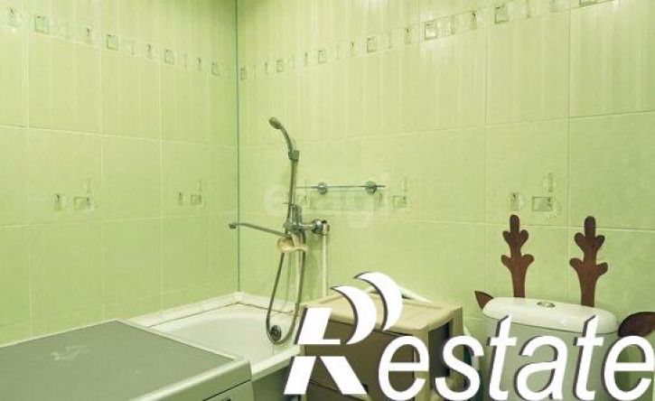 1-комн квартира улица Никулы Эркая, 24 к2,  д. 24 к2